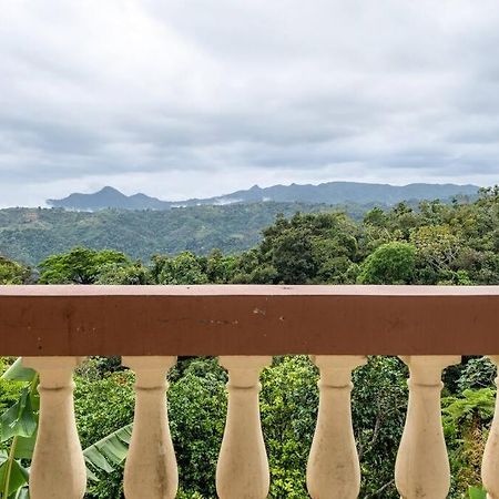 Cabin Mountain View Near Ponce Slepts 8 المظهر الخارجي الصورة