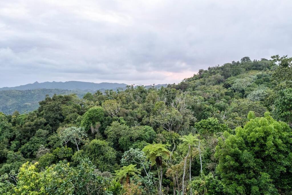 Cabin Mountain View Near Ponce Slepts 8 المظهر الخارجي الصورة