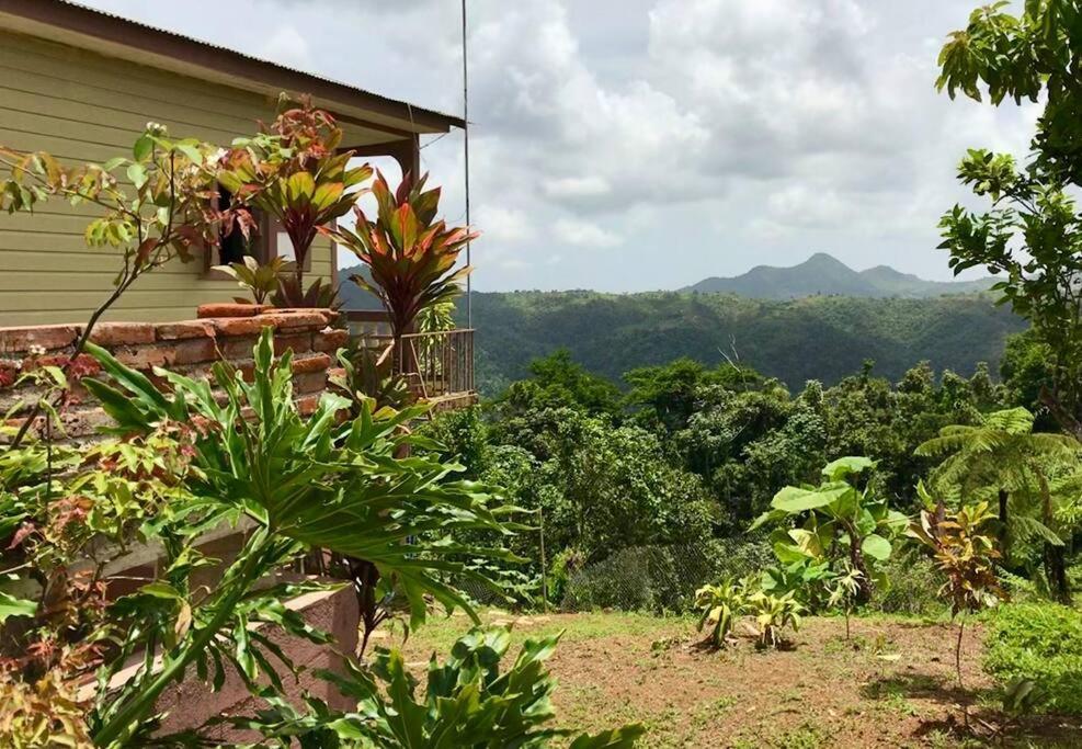 Cabin Mountain View Near Ponce Slepts 8 المظهر الخارجي الصورة